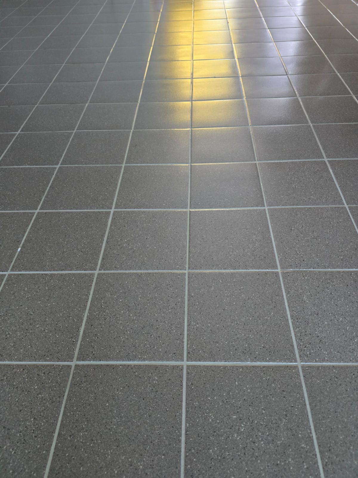 Nieuwbouw zorgwoningen te Steenwijk